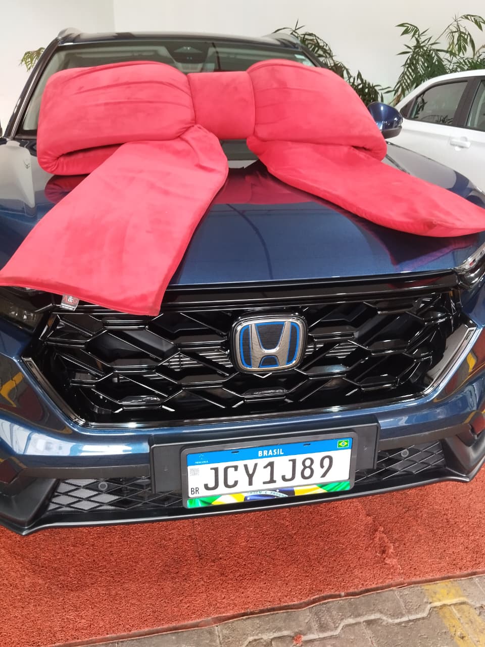 Suporte Moldura Placa Mercosul Carro Bandeira Brasil 7 - 1 Par